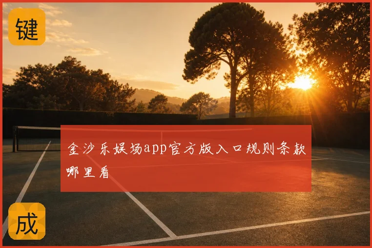 金沙乐娱场app官方版入口规则条款哪里看